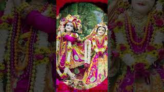radhe Krishna ❤️ #radhakrishna #radharani #love #shortvideo #song #viral  #krishnaprembharti