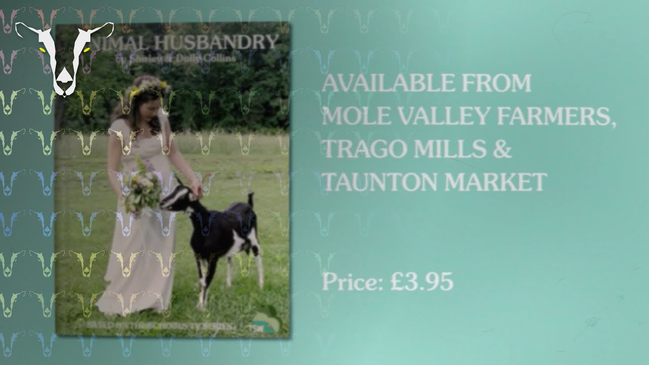 [MOCK] T.A. Walker and Al Dupres' TSW Schools Junction