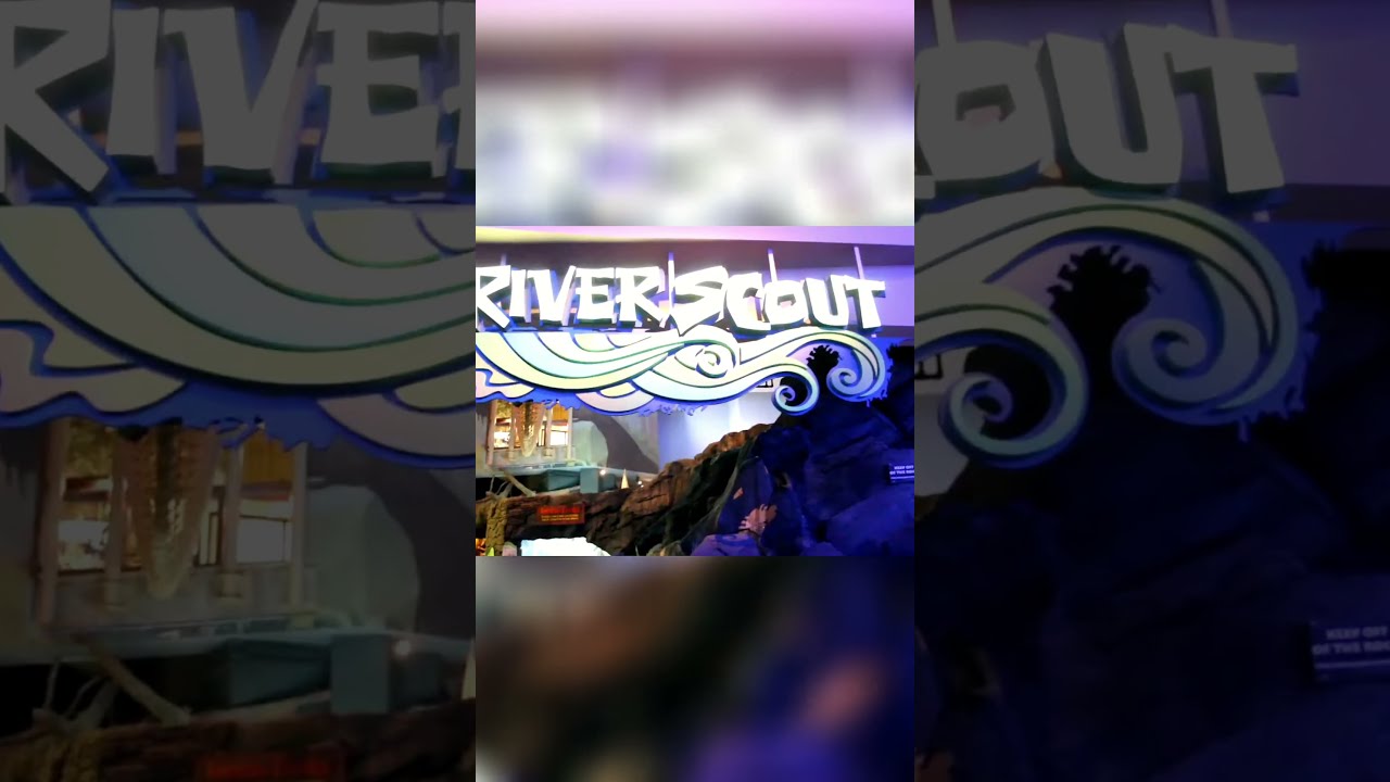 Discover The Beauty Underwater World Aquarium Wonders Shorts