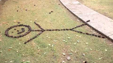 Breakmaster Cylinder - The Bloke Machine