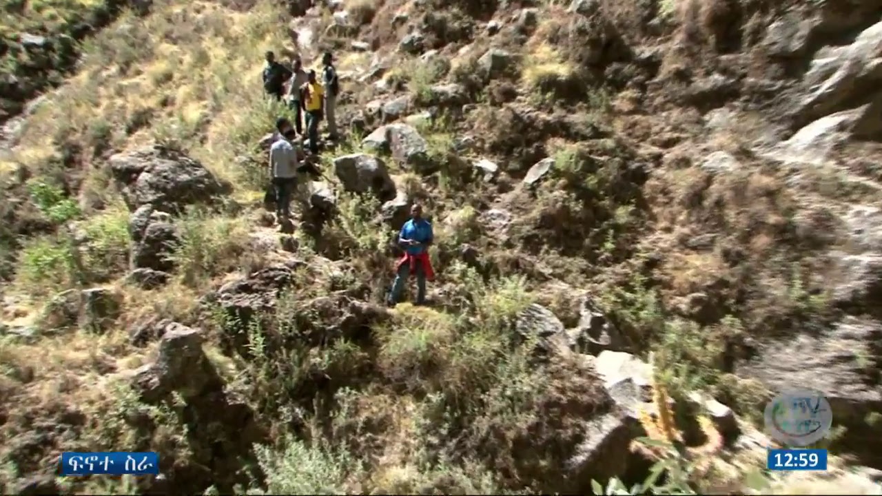 የኦፓል አምራቾች በሕገ-ወጥ ደላሎች እየተታለሉ ነው፤ ለዘርፉም አዲስ መመሪያ እየተዘጋጀ ነው፡፡