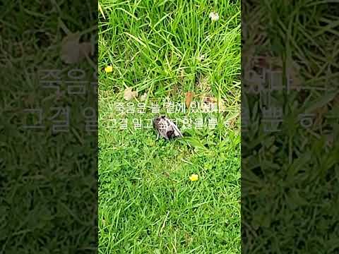 누구나 가야 하는 길