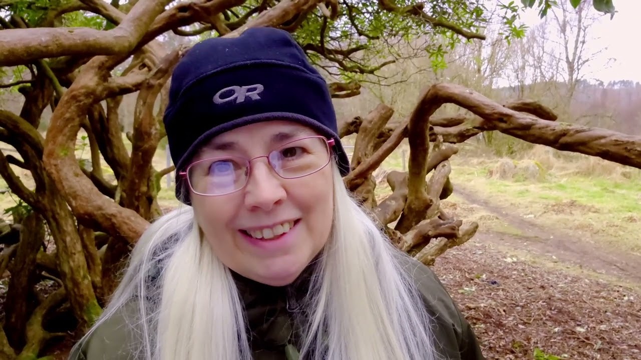 Rhododendron Ponticum