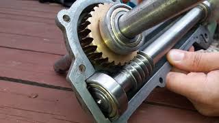 Worm gear