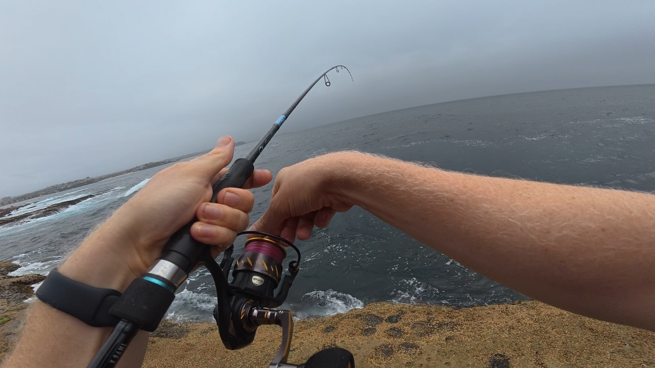 Rock Fishing - Squid & Bonito Catch & Cook - Epic Feed!