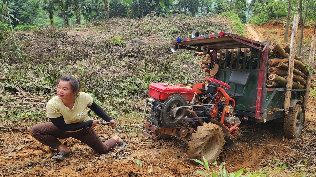 Agricultural vehicles transporting timber, carrying timber to timber staging areas