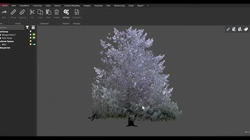Leica Cyclone 3DR: Scripting - Add a script in your favorite menu - Convex Meshing of Tree Crowns