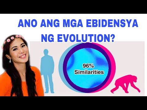 Video: Ano Ang Evolution