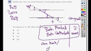 Question 49 - 8th Grade TCAP Practice Test
