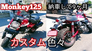 【モンキー125】ホーン移動＆HONDAエンブレムの取り付けなどなど…