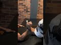 Man vs strong woman armwrestling