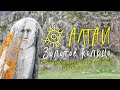 Тур по золотому кольцу Алтая. Петроглифы. Горловое пение. Слияние Катуни и Чуи.