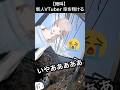 【走馬灯】アルプスの山々も震える大絶叫キャニオンスイング#shorts #新人vtuber