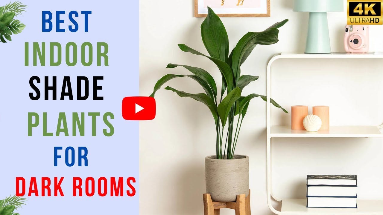 fake banana plant Artificial White Peonies in Glass Vase with Faux Water – Elegant Table  Centerpiece main image 0