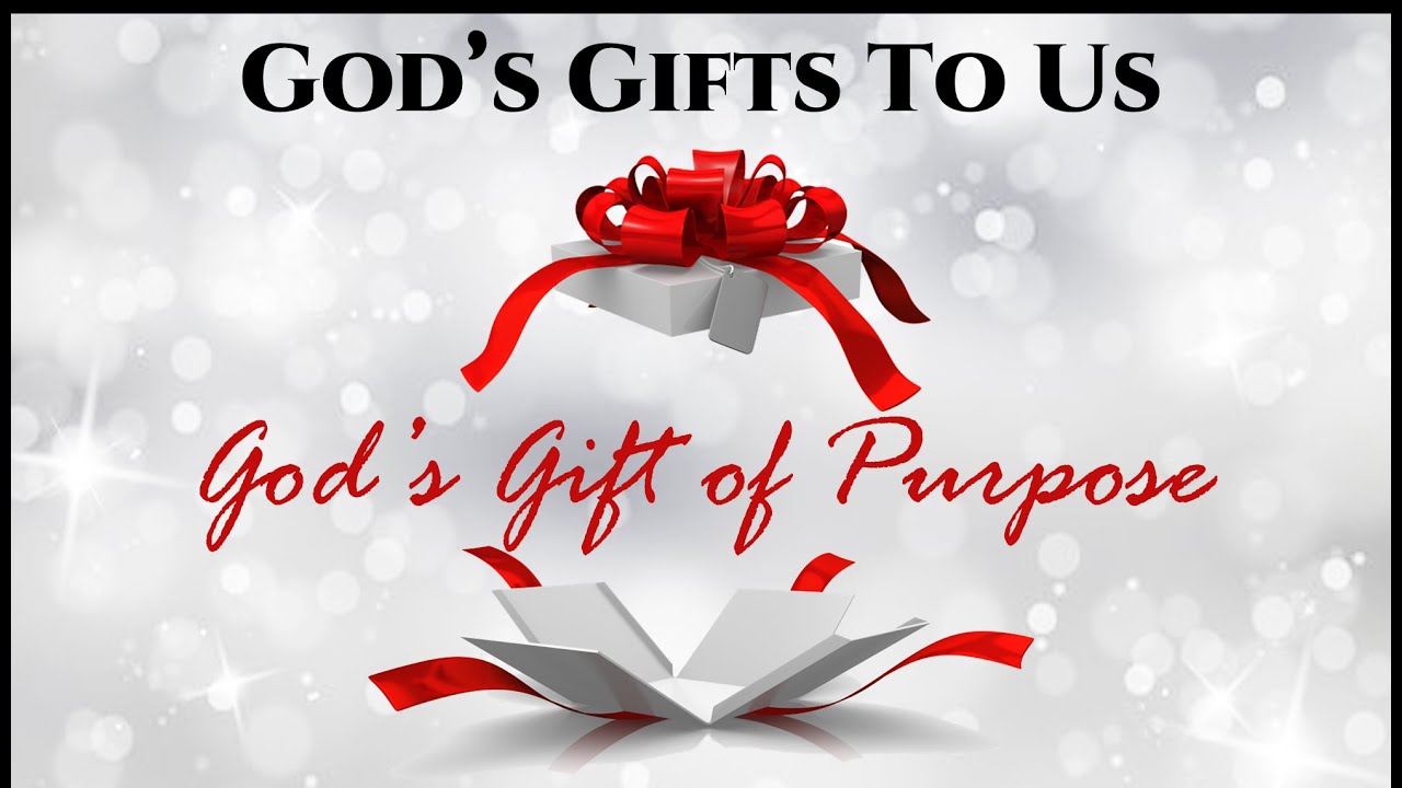 God's Gift of Purpose - Part 7 of 7 God's Gifts to Us - YouTube
