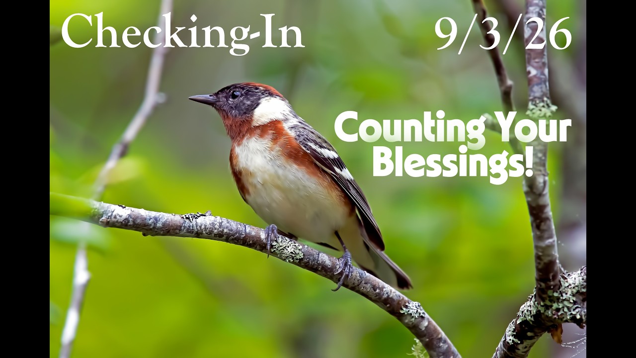 Pastor Mike's Checking-In