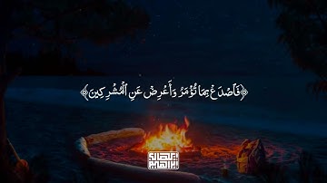 خواتيم الحجر بصوت القارئ إيهاب إبراهيم 🤎