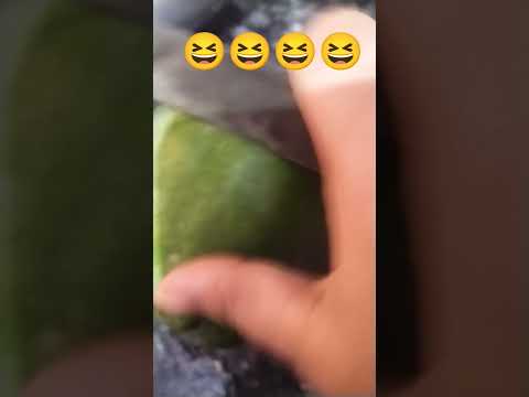 H Are Yahan Bana Kuddu Loki