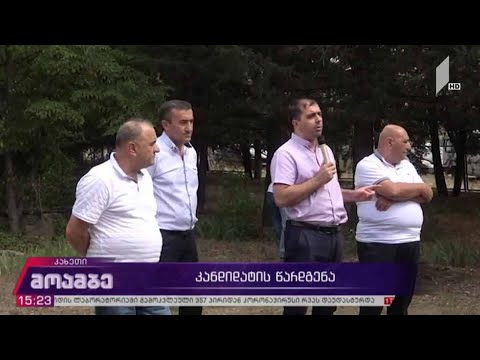 „თავისუფალი საქართველოს“ მაჟორიტარობის კანდიდატის წარდგენა