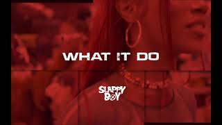 [Free For Profit] Megan Thee Stallion x Flo Milli x Bia Type Beat 2021 “What It Do'