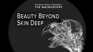 Beauty Beyond Skin Deep