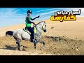 شاركت في سباق خيل 100 كم و حدثت الكارثة
