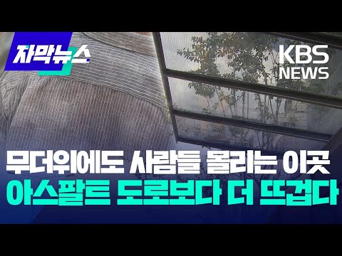 [자막뉴스] 무더위에도 사람들 몰리는 이곳..<strong>아스팔트</strong> 도로보다 더 뜨겁다 / KBS 2023.08.18.