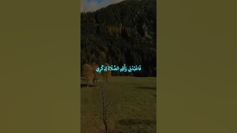 سورة طه الاية (١٣) تلاوة ياسر الدوسري #المصحف