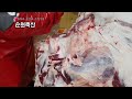 한우 앞다리발골Korean beef front leg Dal-gol