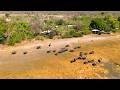  Zarafa Camp | Private Safari in Botswana's Okavango Delta