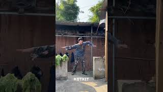 Everything Interesting In Tik Tok P196 Kotkit