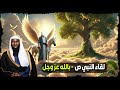 ما هو السر وراء الأشياء الغامضة في السماء السابعة   الشيخ بدر المشاري
