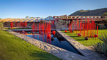 Chihuly in the Desert, Desert Botanical Garden & Taliesin West