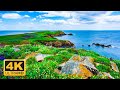 Throw Stress Away with Relaxing Piano Music & Beautiful Nature - Sleep Music, Stress Relief Music