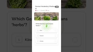 German Vocabulary Quiz 🇩🇪 — Can You Score 10/10?
