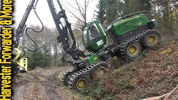 🌲🌳🌲 Best of LOGGING | Compilation 🌳🌲🌳 2016