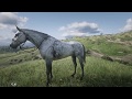 Red Dead Redemption 2 - Free roam catching and riding the Thoroughbred Dapple Grey