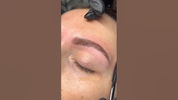 The ultimate lash and brow lamination kit: Elleeplex Profusion