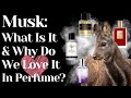 Musk In Perfumes What Is Musk? Notes In Perfume | Why Is Musk So Sexy? Animalic Powdery | White Musk