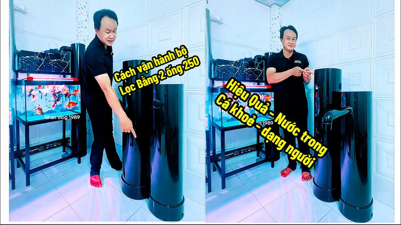 Làm Lọc Hồ Cá Koi + Chép Phi Tần Bằng 2 Ống 250 Nước Siêu Trong - Giúp Nước Siêu Trong Cá Khỏe.