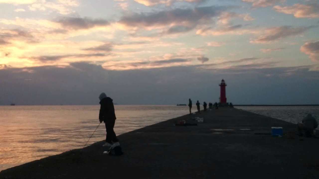 加古郡　播磨新島（本荘の人口島）赤灯台の海釣、サビキで、かなり大きなアジが釣れています ( 1/2 )    fishing at sea
