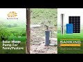Solar submersible pumps for pastures and farms in south america  samking customer case