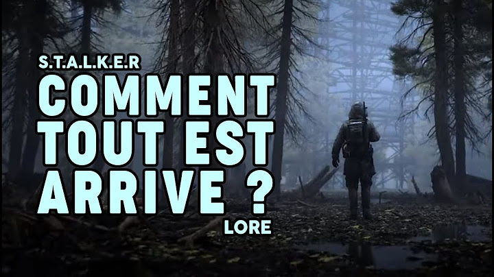 L'HISTOIRE DE STALKER - COMMENT TOUT EST ARRIVÉ ? (LORE)