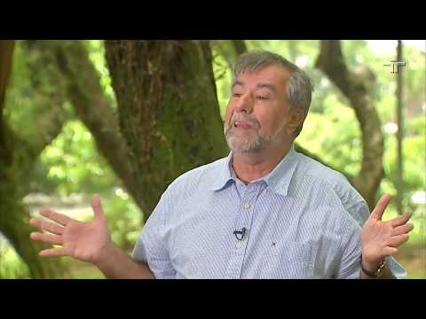 Repórter Eco | Especial: Balanço 2019 | 29/12/2019