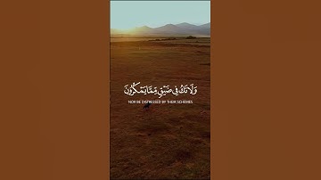 القارئ الشيخ فارس عباد الآية 127و 128 من سورة النحل  #اكسبلور