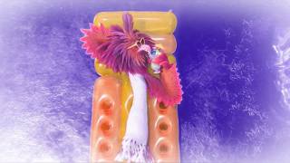 Chill Mood Activated Angry Birds L Sponsored By Preview 2 Mokou Deepfake