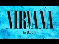 Nirvana - In Bloom (backing track for guitar)