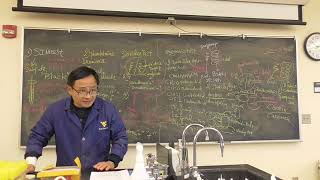 AEM 341 Lab 13 Enzymatic testing of bacteria-2