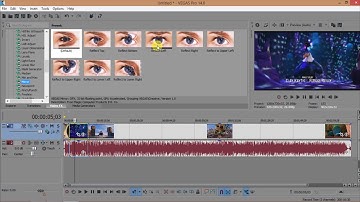 How to mirror effect a video in sony vegas pro 14