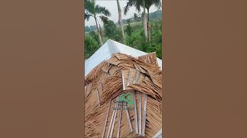 Thi công mái nhựa | Thi công nhà tre mái lá nhân tạo
